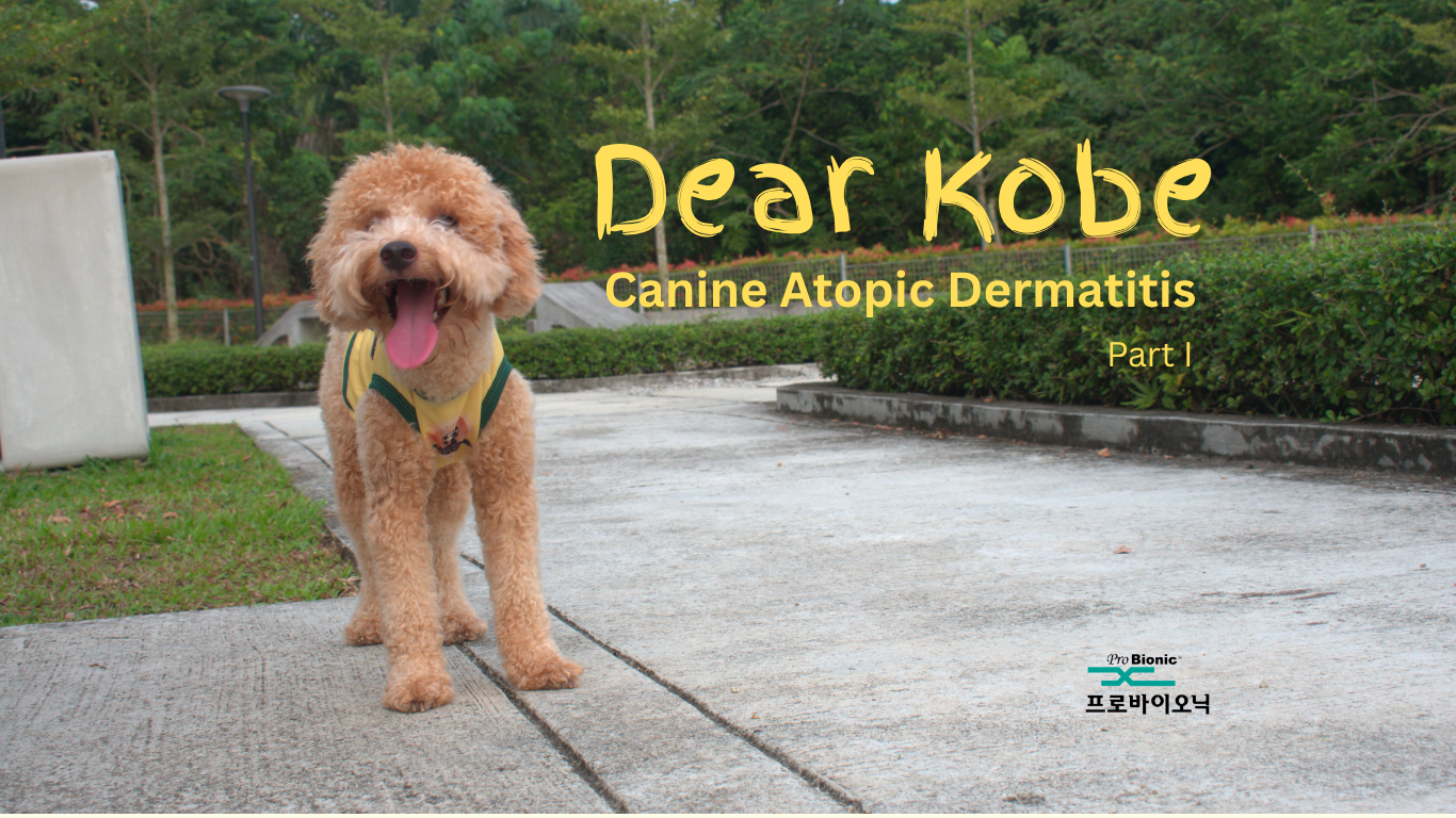 Dear Kobe